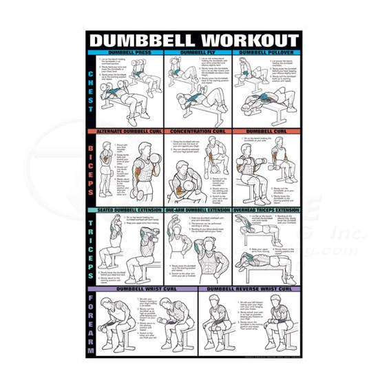fatlosslover.com  Bicep and tricep workout, Gym workout chart
