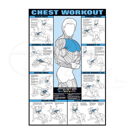 Chest Workout Chart Picture Eoua Blog