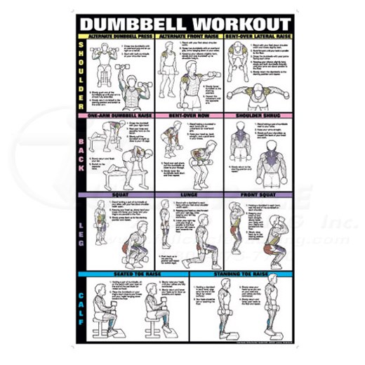 Dumbbell Workout Fitness Chart Shoulders, Back, Leg & Calf 0CHNFC13E ...