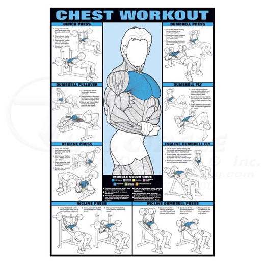 chest exercises chart for men