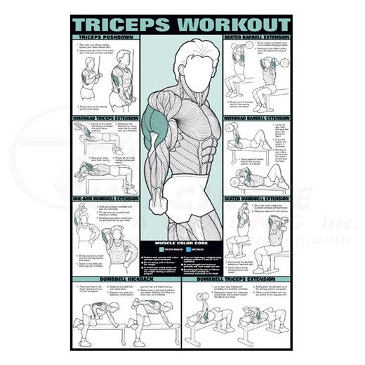 triceps workout chart pdf