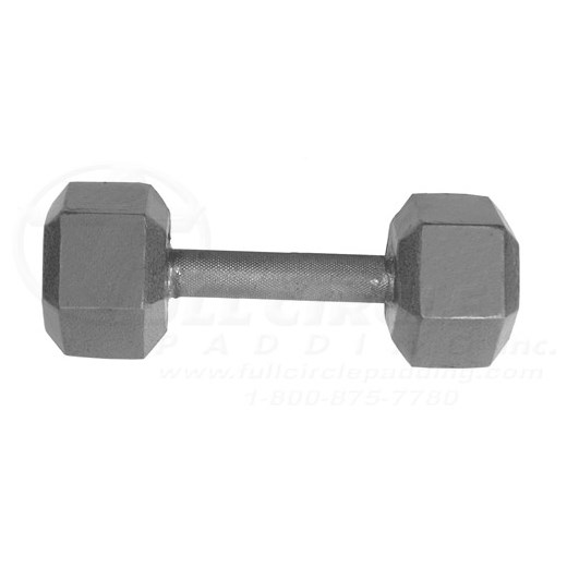 20 lb dumbbells